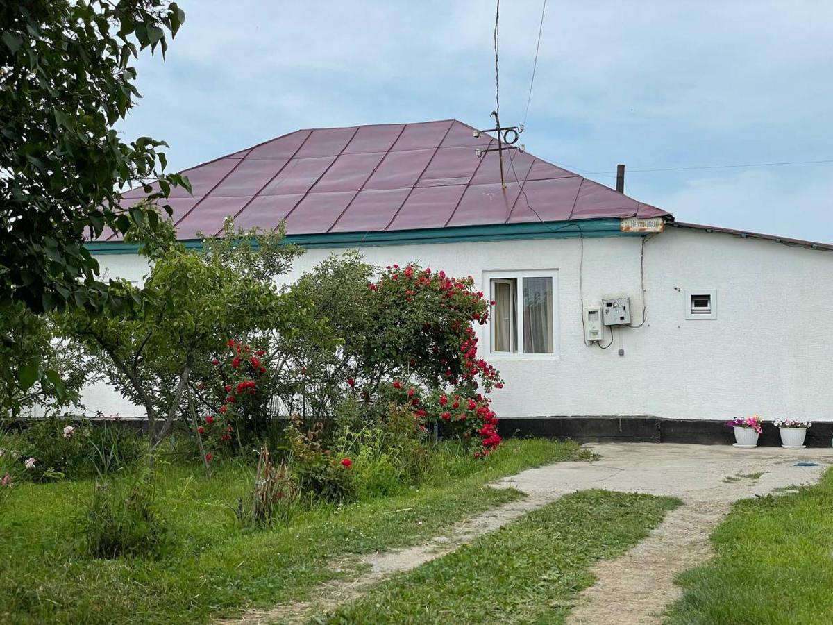 By River 246 Karakol Exterior foto